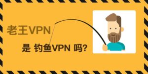 老王VPN